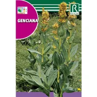 Arnika Rocalba 0,2 g