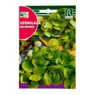 Debeli portulak Rocalba 4 g