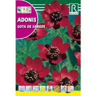 Ljetni adonis Rocalba 10 g