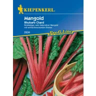 Mángold Rhubarb Chard Kiepenkerl oko 50 kom