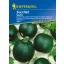 Okrugla tikvica Satelite Kiepenkerl 5 kom