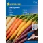 Mrkva Harlequin Mix F1 traka sjemena Kiepenkerl 5 m