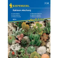 Kaktusi - mješavina popularnih sorti Kiepenkerl 20 kom