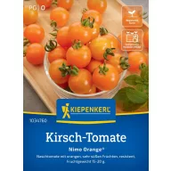 Rajčica cherry Nimo Orange Kiepenkerl 5 kom