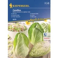 Glavica kupusa Caraflex F1 Kiepenkerl 20 kom