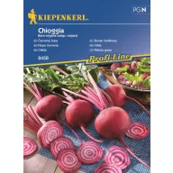 Cikla Chioggia Kiepenkerl 80 sjemenki