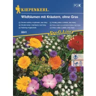 Mješavina sjemena divljeg cvijeća Kiepenkerl za 2-3 m²