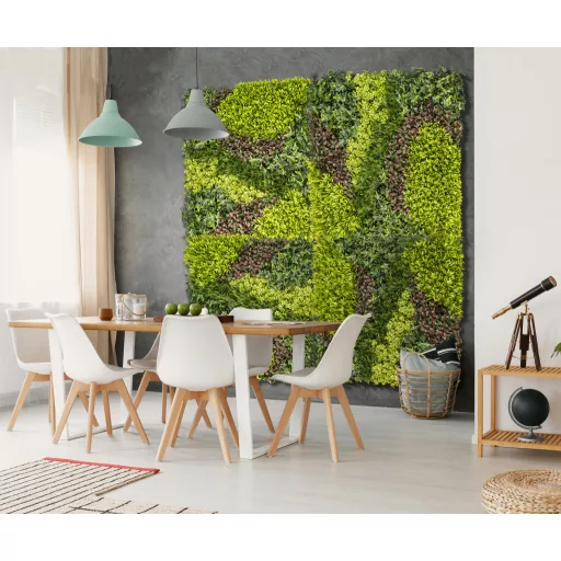 Zeleni zid s miješanim lišćem Vertical Costa 1mx1m
