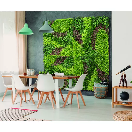 Zeleni zid s miješanim lišćem Vertical Costa 1mx1m