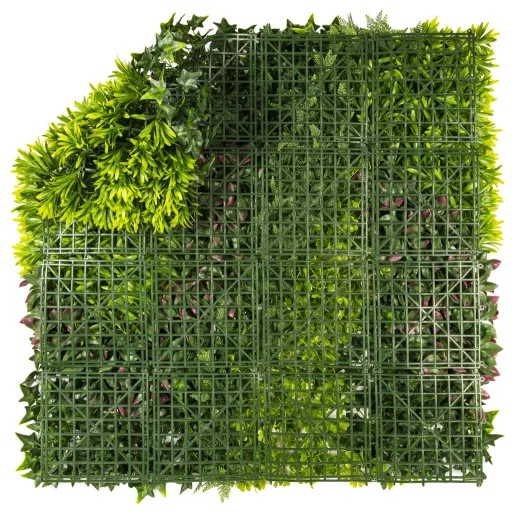 Zeleni zid s miješanim lišćem Vertical Costa 1mx1m