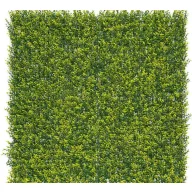 Zeleni zid s listovima buksusa Vertical Buxus 1m x 1m