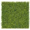 Zeleni zid s listovima buksusa Vertical Buxus 1m x 1m