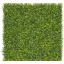 Zeleni zid s listovima buksusa Vertical Buxus 1m x 1m
