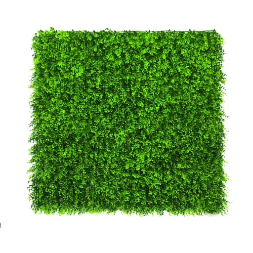 Zeleni zid s listovima buksusa Vertical Buxus 1m x 1m