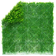 Zeleni zid s listovima buksusa Vertical Buxus 1m x 1m