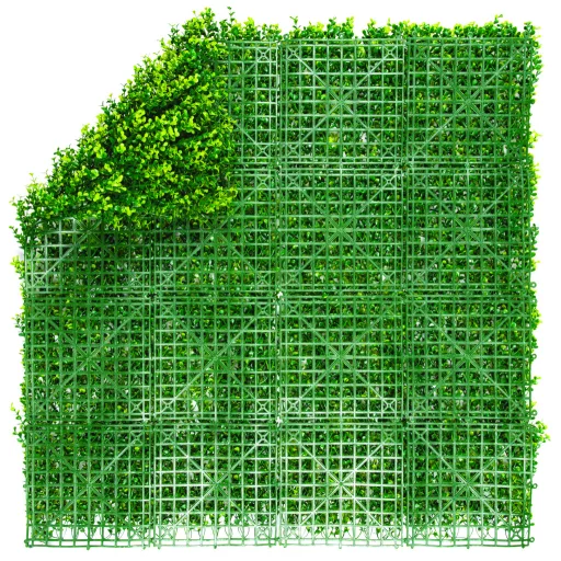 Zeleni zid s listovima buksusa Vertical Buxus 1m x 1m