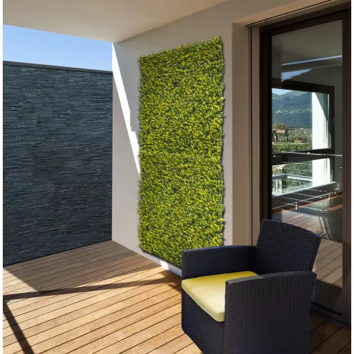 Zeleni zid s listovima buksusa Vertical Buxus 1m x 1m