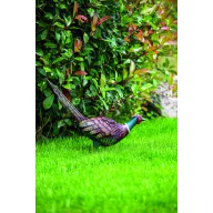   Fazanski pijetao figura od metala u boji Feesy 54 x 15 x 46 cm