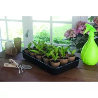 Mini staklenik za sadnice Rapid Grow 38 x 24 x 19 cm