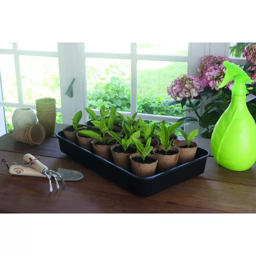 Mini staklenik za sadnice Rapid Grow 38 x 24 x 19 cm