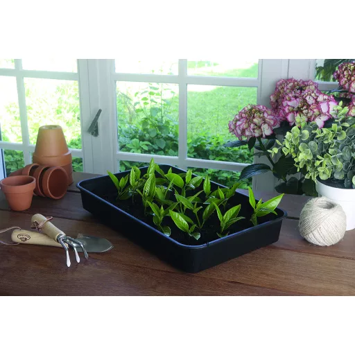 Mini staklenik za sadnice Rapid Grow 38 x 24 x 19 cm