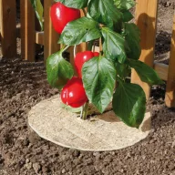   Pokrivač tla 100% prirodni Chanvrelin 750 natur, promjer 40 cm