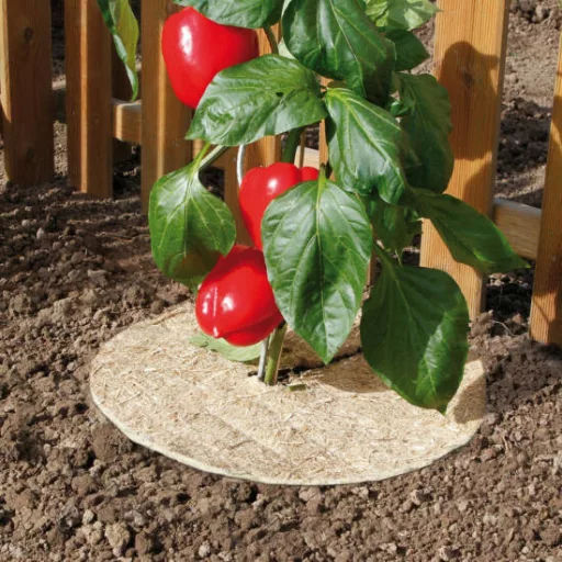 Pokrivač tla 100% prirodni Chanvrelin 750 natur, promjer 40 cm