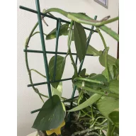 Viráglétra ljestve 37 cm