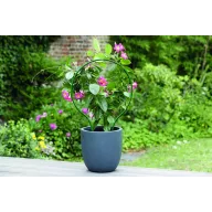 Zakrivljeni nosač za biljke Plast Arc zeleni 42 cm
