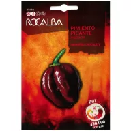 Chili paprika Čokolada Habanero Rocalba 25 sjemenki