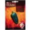 Čili paprika Jalapeño M Rocalba 0,5 g
