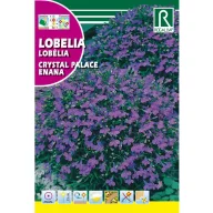 Lobélia Crystal Palace Rocalba 0,5 g
