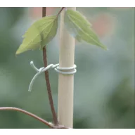 R-FIX vezica za pričvršćivanje penjačica 50 m