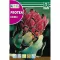Cukorcserje Eximia (Protea Eximia) 6 g Rocalba