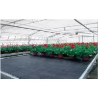 Agrotekstila crna 135 g/m2 2,1 m x 50 m