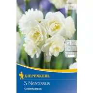 Lukovica narcisa 'Cheerfulness' 5 kom Kiepenkerl
