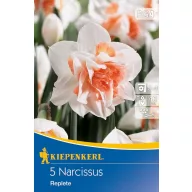 Lukovice narcisa Replete 5 kom Kiepenkerl