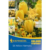   cvjetna lukovica Colour Symphony Mega pakiranje Yellow Harmony 26 kom Kiepenkerl
