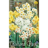   Lukovice cvijeća narcisa grozdasta mješavina boja 8 kom Rédei Kertimag