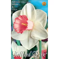 Lukovice cvijeća Narcis Salome 5 kom Rédei Kertimag