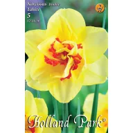 Cvjetna lukovica narcis Tahiti 5 kom Rédei Kertimag