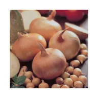 Sjetveni luk Stuttgarti 14-19 mm 250 g VM