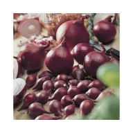 Dughagyma ljubičasti luk Red Comred 14-19 mm 250 g VM
