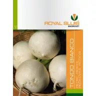 Bijela okrugla rotkvica 5 g Royal Sluis