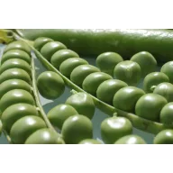 Zeleni grašak Somerwood 250 g Royal Sluis