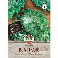 Kovrčavi kel Emerald Ice 20 sjemenki Sperli