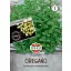 Trio origana, obložene sjemenke Simply Herbs 15 sjemenki Sperli