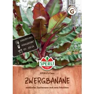 Patuljasta banana Coco 4 sjemenke Sperli