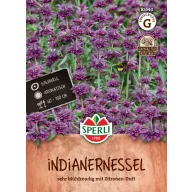 Limunski pčelinji balzam 200 sjemenki Sperli