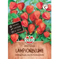 Lampion cvijet Mikie's Laterne 70 sjemenki Sperli